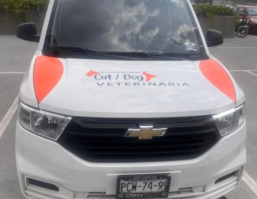 Servicio a domicilio - CAT & DOG